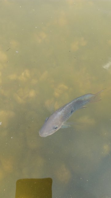 IMG_20210716_125004.jpg