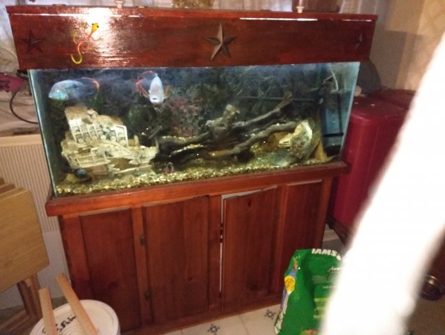IMG_20210708_173423389_optimized_optimized.jpg