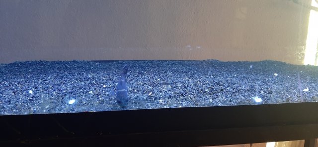 20210713_143011.jpg