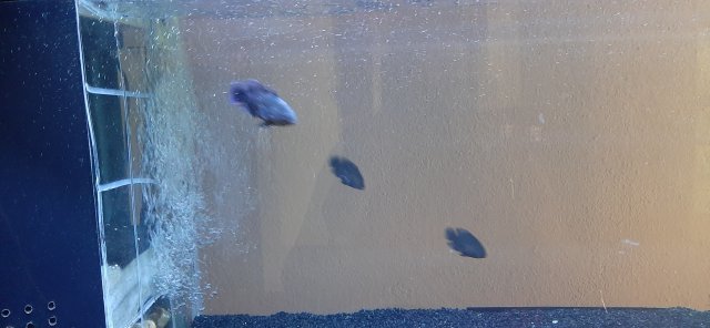 20210713_142723.jpg