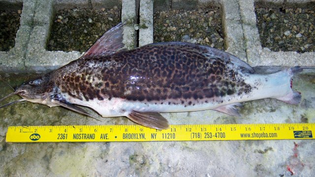 100_9703.JPG 100_9703.JPG