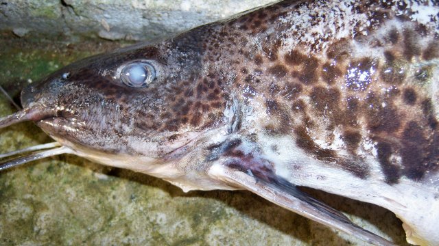 100_9702.JPG 100_9702.JPG