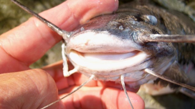 100_9701.JPG 100_9701.JPG