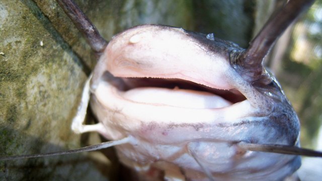 100_9698.JPG 100_9698.JPG