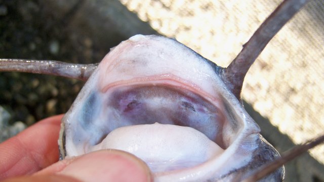 100_9699.JPG 100_9699.JPG