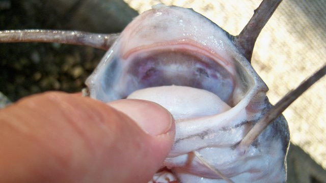 100_9700.JPG 100_9700.JPG