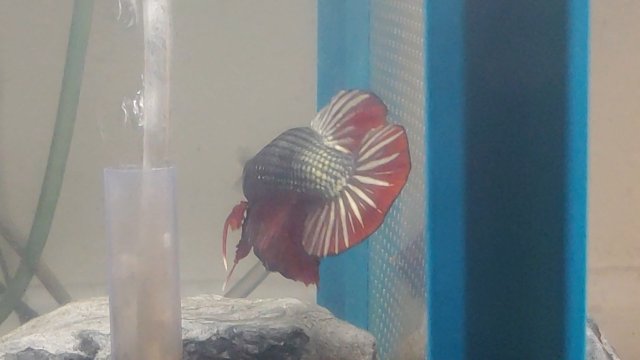 0714211749_exported_2866.jpg