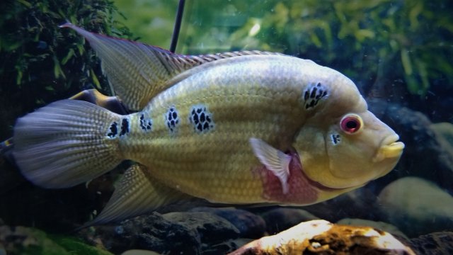 IMG_20201226_092835407.jpg