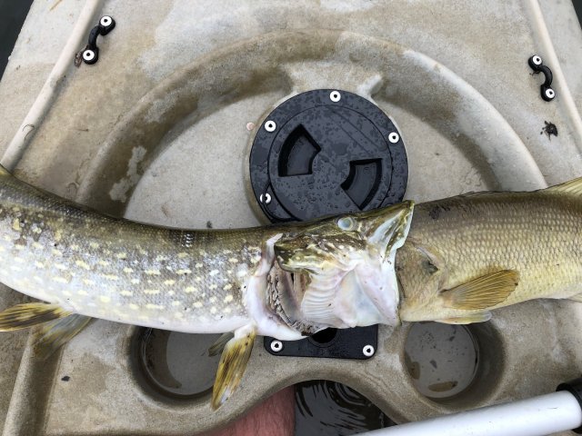 GDXRLP7E2FEYHHWFJVGBKIPBPM.jpg GDXRLP7E2FEYHHWFJVGBKIPBPM.jpg