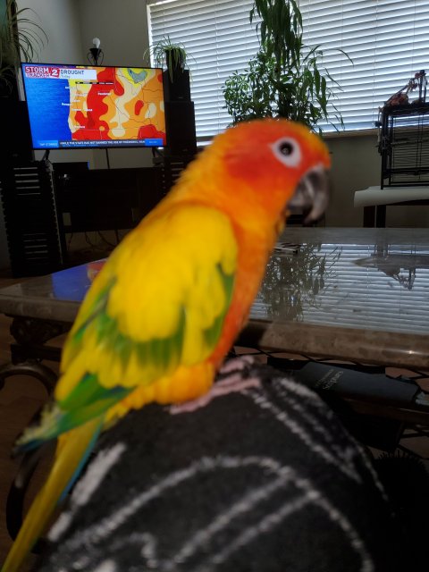 20210702_170750.jpg