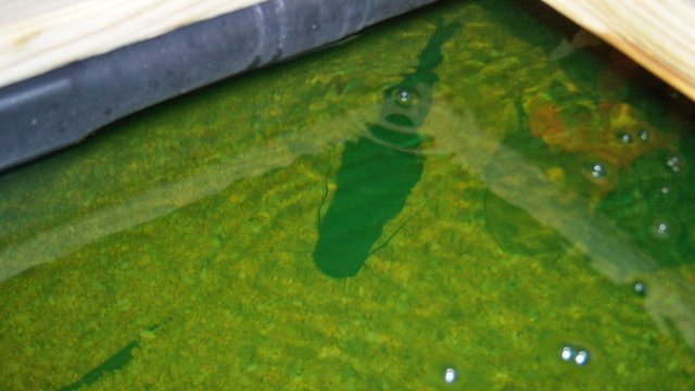 100_2368.JPG 100_2368.JPG