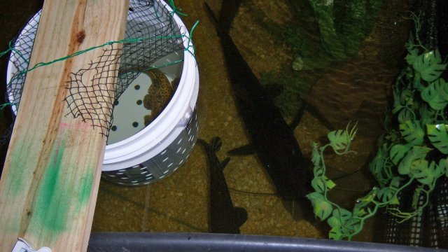 100_2577.JPG 100_2577.JPG