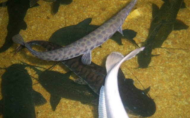 group 10.JPG group 10.JPG