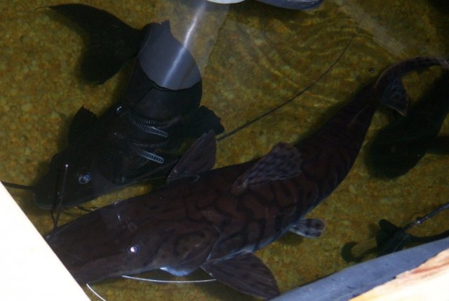 group 13.JPG group 13.JPG