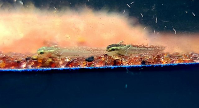 KakaoTalk_20200814_230944969.jpg KakaoTalk_20200814_230944969.jpg