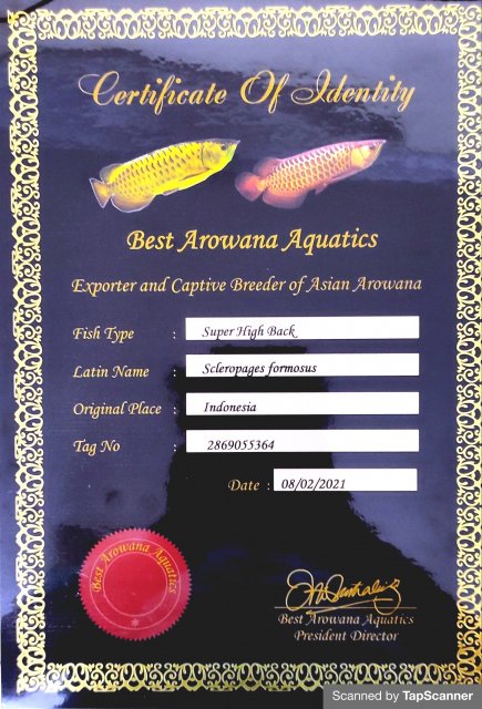 Certificate Arowana.jpg