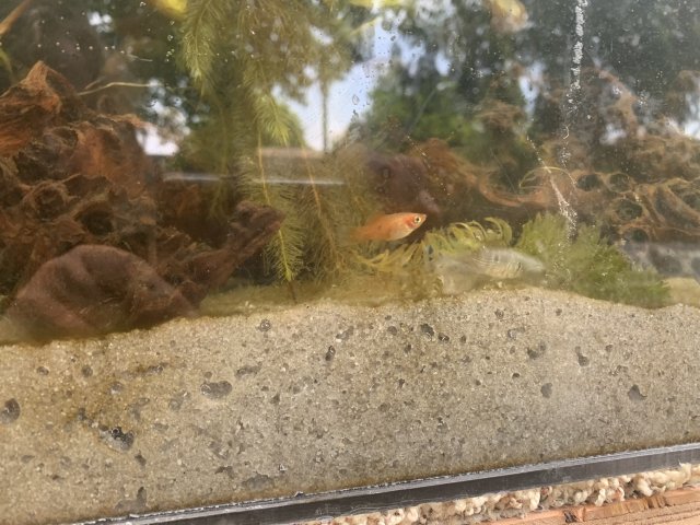 46F84CFE-5029-4B08-B908-E193C329E65D.jpeg 46F84CFE-5029-4B08-B908-E193C329E65D.jpeg