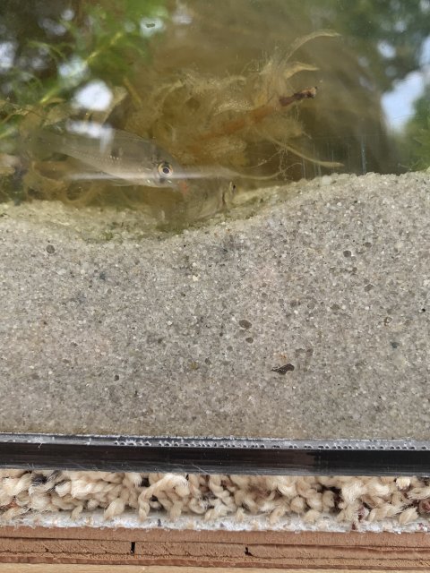 185A19AA-3359-4DBC-9EBA-04E13EE2DD94.jpeg 185A19AA-3359-4DBC-9EBA-04E13EE2DD94.jpeg