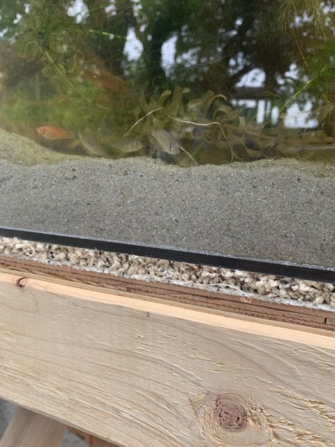 3EAFC74C-0D2A-464F-8CCA-CFDA7D0E1BF6.jpeg 3EAFC74C-0D2A-464F-8CCA-CFDA7D0E1BF6.jpeg