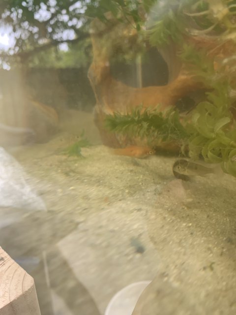 DB5DD839-8879-41E1-AB82-08EDC4F0FD45.jpeg DB5DD839-8879-41E1-AB82-08EDC4F0FD45.jpeg