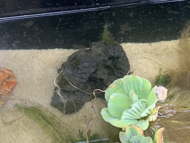 7BDA9DDD-0A3A-459D-B7AC-1F0745C3C017.jpeg 7BDA9DDD-0A3A-459D-B7AC-1F0745C3C017.jpeg