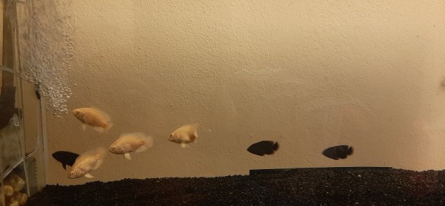 20210715_171627.jpg