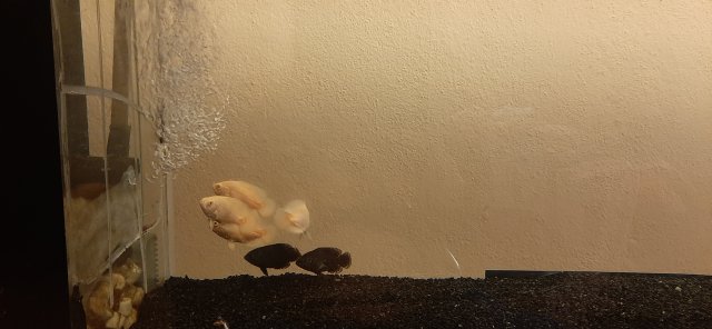 20210715_171612.jpg