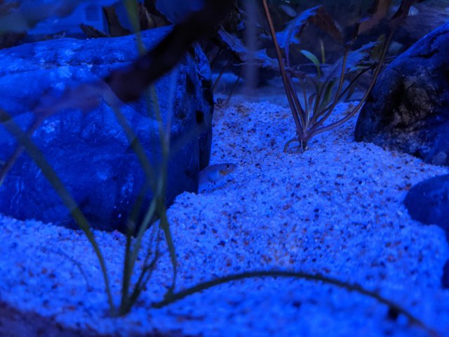 PXL_20210524_150923758.jpg