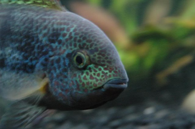 DSC_0134.JPG