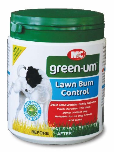 green_um_tablets.jpg