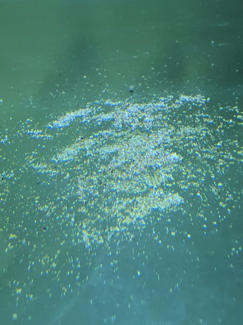 20210526_221452.jpg
