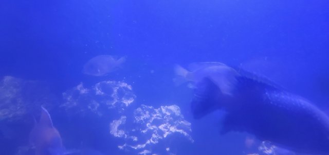 20210802_205410.jpg