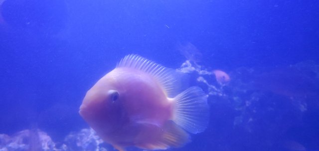 20210802_205404.jpg