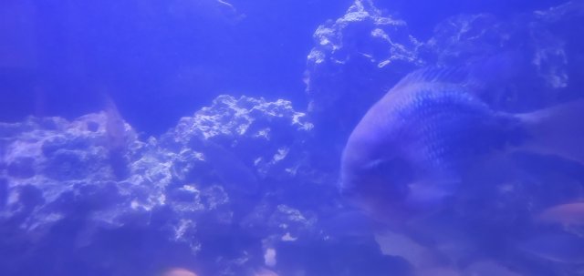 20210802_205357.jpg