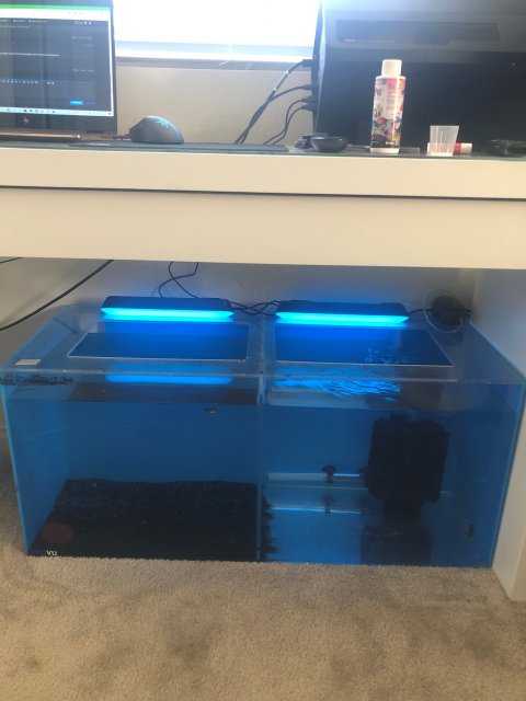 40gallon.jpg