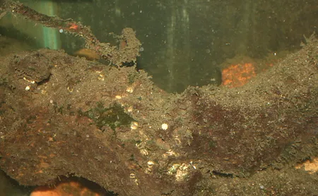 1628005538987.png 1628005538987.png