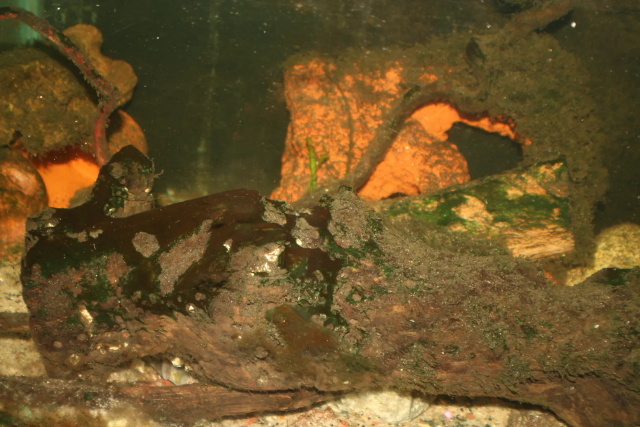 1628005978911.png 1628005978911.png