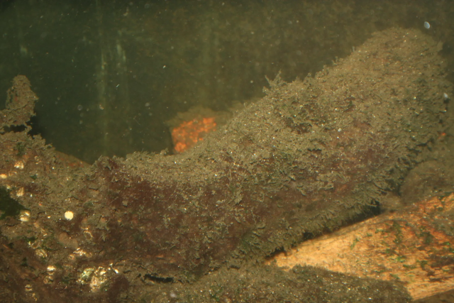 1628006064118.png 1628006064118.png