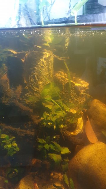 20210802_173027.jpg
