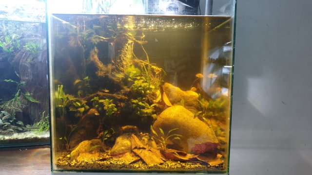 20210803_224148.jpg