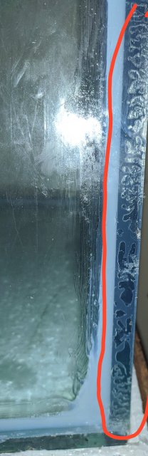 IMG_20210804_225538.jpg