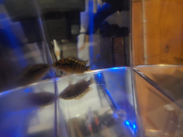 20210727_213002.jpg