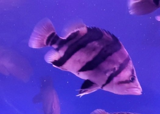 Screenshot_20210805-095928_Gallery.jpg