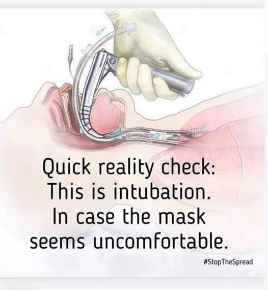 1628220961624.png
