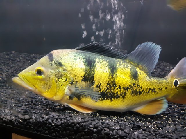 20200801_204044.jpg
