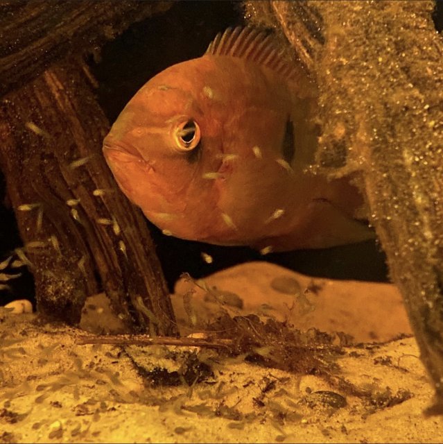 9EE0CC09-D1D6-4C25-BC41-6E73B91BAAAB.jpeg 9EE0CC09-D1D6-4C25-BC41-6E73B91BAAAB.jpeg