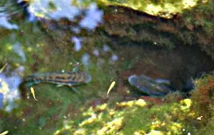 1628513466560.png 1628513466560.png