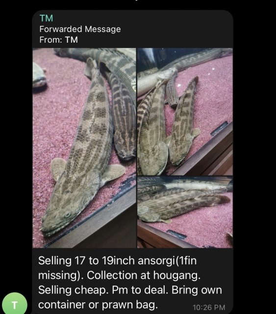 0A824574-54FE-4820-B4C1-92F0B863FD68.jpeg