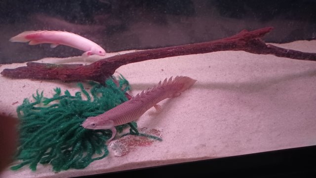 20210812_081233.jpg
