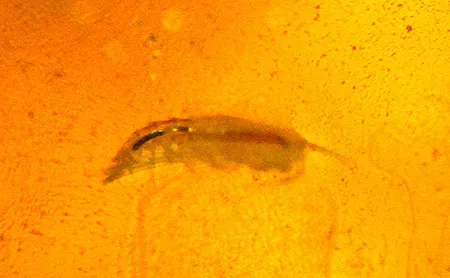 1628782160790.png 1628782160790.png